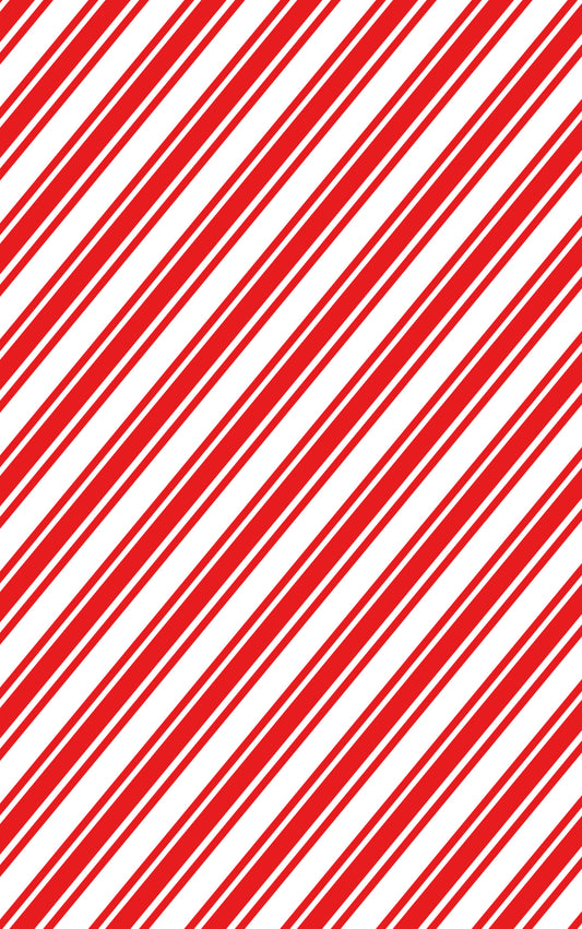 Candy Cane Lane: Double-Sided Washcloth